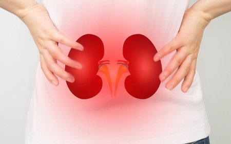 Kidneys in silent mode: early warning signs you shouldn’t ignore