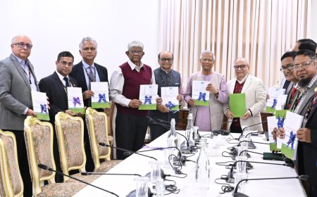 National Task Force Submits Tax System Restructuring Report to Chief Adviser