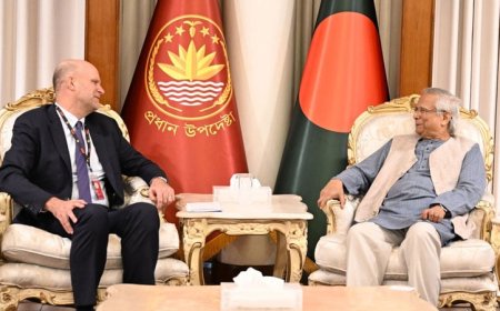 Repatriation the only viable solution to Rohingya crisis: CA