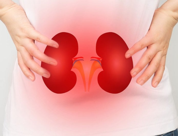 Kidneys in silent mode: early warning signs you shouldn’t ignore