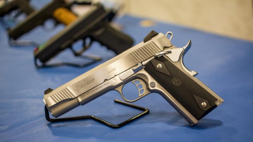 Firearms licence holders instructed to surrender weapons by January 31