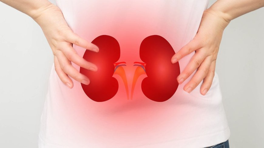 Kidneys in silent mode: early warning signs you shouldn’t ignore