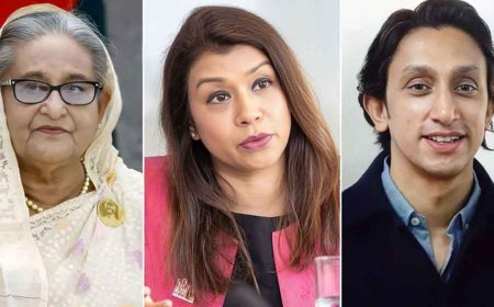 Purbachal Plot Scam: Hasina sentenced to 10 years in prison; Tulip jailed for 4 years, while Azmina and Radwan each receive 7-year terms