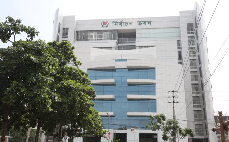 AFED says 80% of political parties, candidates trust Election Commission