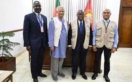 Commonwealth Election Observer Group delegation holds meeting with Chief Adviser (CA)