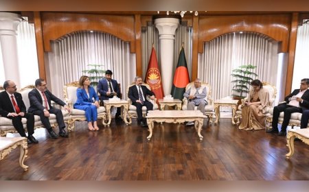 Turkish election observer team pays courtesy call on Chief Adviser