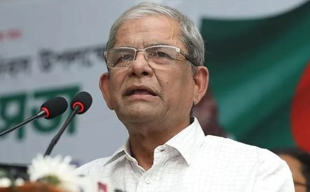 BNP to form government with its street movement allies: Mirza Fakhrul