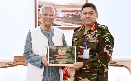 Army Chief Pays Courtesy Call on Chief Adviser
