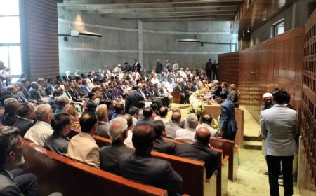 BNP MPs decline duty-free vehicles and government plots