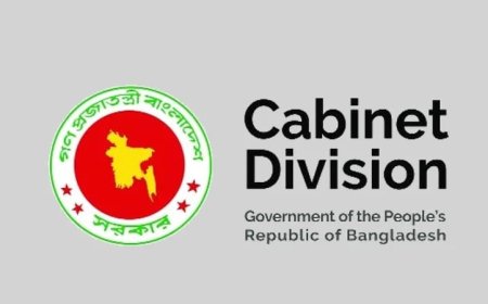 Portfolios assigned to newly appointed ministers and state ministers