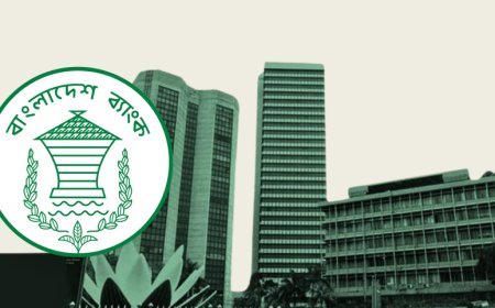 The real crisis at Bangladesh Bank lies in its mandate, not in the résumé