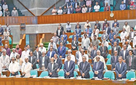 Parliament Welcomes the Return of Democracy