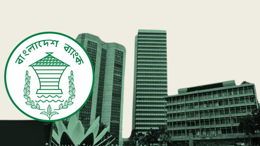 The real crisis at Bangladesh Bank lies in its mandate, not in the résumé