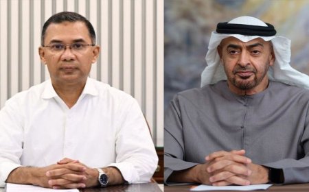 Prime Minister conveys a special message to the UAE President