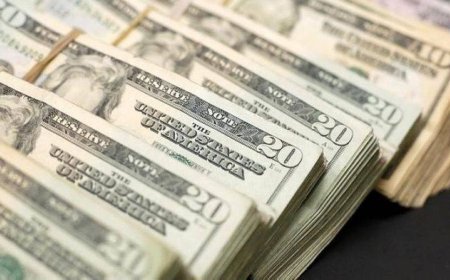 Foreign aid disbursements decline as pressure from debt repayments intensifies