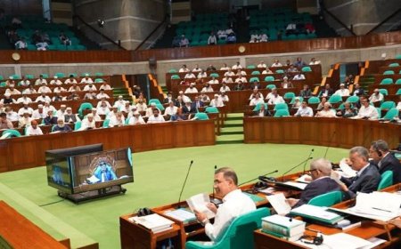 Parliament passes 10 additional bills