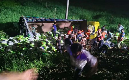 Seven killed after rice-laden truck plunges into ditch in Daudkandi