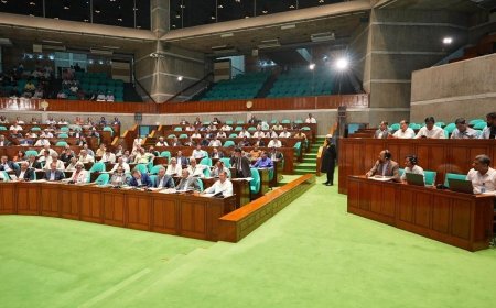 An investigation is underway into allegations of partisan recruitment within the BCS cadre