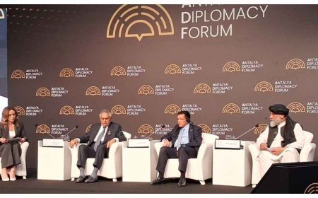 Ziaur Rahman’s role in the founding of the South Asian Association for Regional Cooperation was highlighted at the Antalya Forum