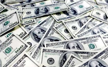Foreign exchange reserves currently stand at $35.13 billion
