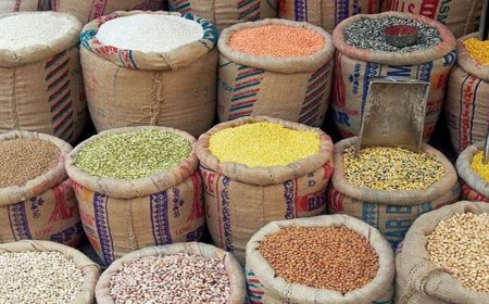 The government has set a procurement target of 18.1 lakh tonnes of food grains