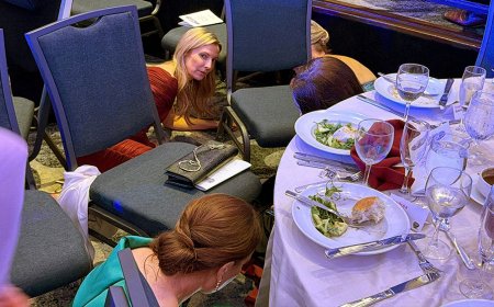 Shots were fired during a press dinner in Washington, but Donald Trump was safely evacuated without injury