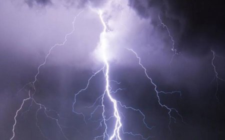 14 dead as lightning strikes hit seven districts