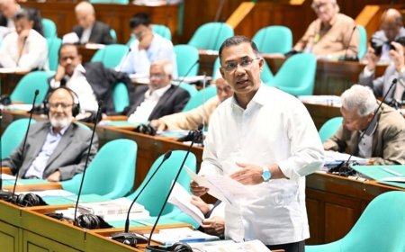 PM presents 12-point roadmap for a cleaner, greener Dhaka