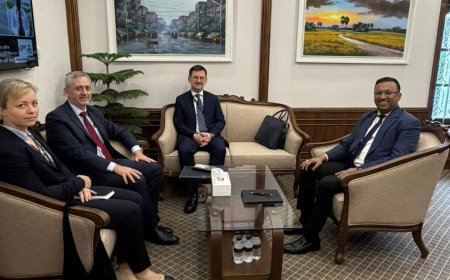 EU delegation holds meeting with the Prime Minister’s foreign affairs adviser