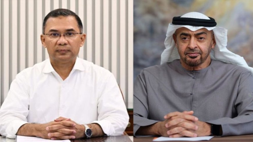 Prime Minister conveys a special message to the UAE President