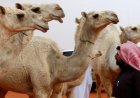 The moon marking the beginning of the month of Dhul-Hijjah has been sighted in the UAE, and the country will celebrate Eid-ul-Azha on 27 May