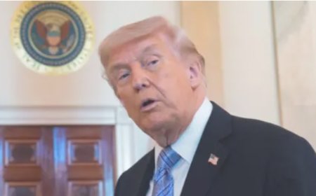 Donald Trump says he has paused the Hormuz operation to advance a potential deal with Iran