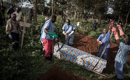 The World Health Organization (WHO) has declared an international health emergency after an Ebola outbreak in the Democratic Republic of Congo claimed more than 80 lives