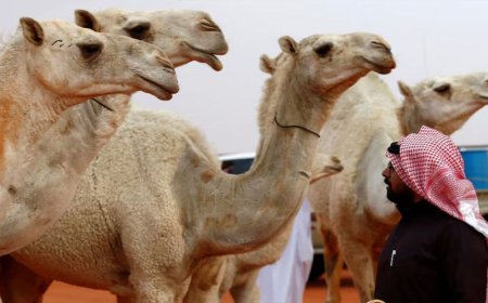 The moon marking the beginning of the month of Dhul-Hijjah has been sighted in the UAE, and the country will celebrate Eid-ul-Azha on 27 May