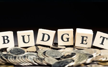 An expansionary budget with a record-high deficit