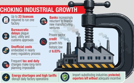 “Anti-business culture” emerges as a major obstacle to industrial expansion and investor confidence