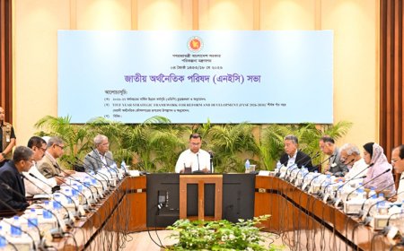 PM presides over National Economic Council meeting