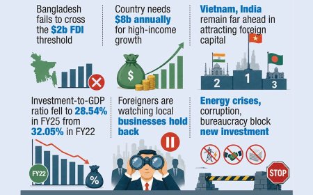 Weak local investment discourages foreign capital inflow