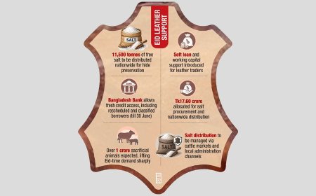 Government announces salt supply and loan support for leather sector