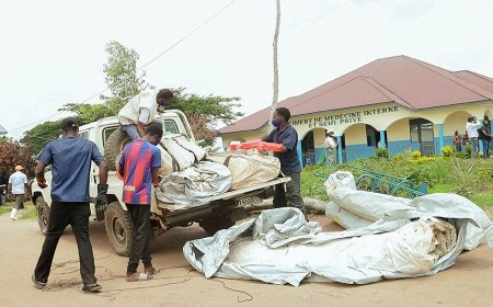 World Health Organization says a vaccine to combat the Ebola outbreak could take six to nine months to become available