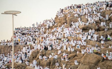 Pilgrims offer prayers on Mount Arafat as Hajj reaches its peak