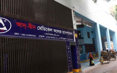 Negligence found in newborn deaths at Ad-Din Hospital