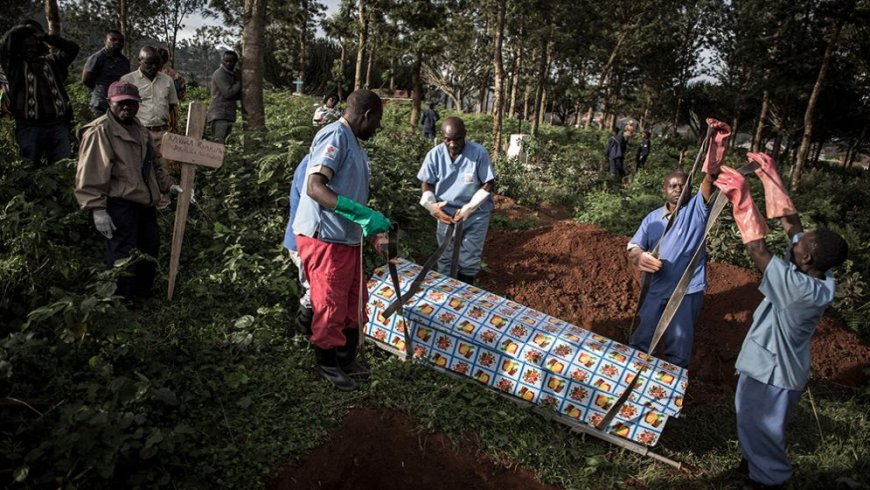 The World Health Organization (WHO) has declared an international health emergency after an Ebola outbreak in the Democratic Republic of Congo claimed more than 80 lives