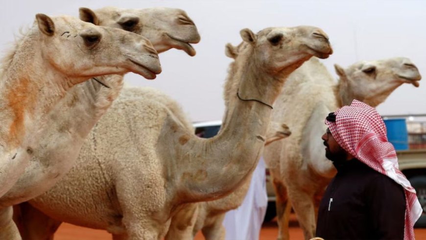 The moon marking the beginning of the month of Dhul-Hijjah has been sighted in the UAE, and the country will celebrate Eid-ul-Azha on 27 May