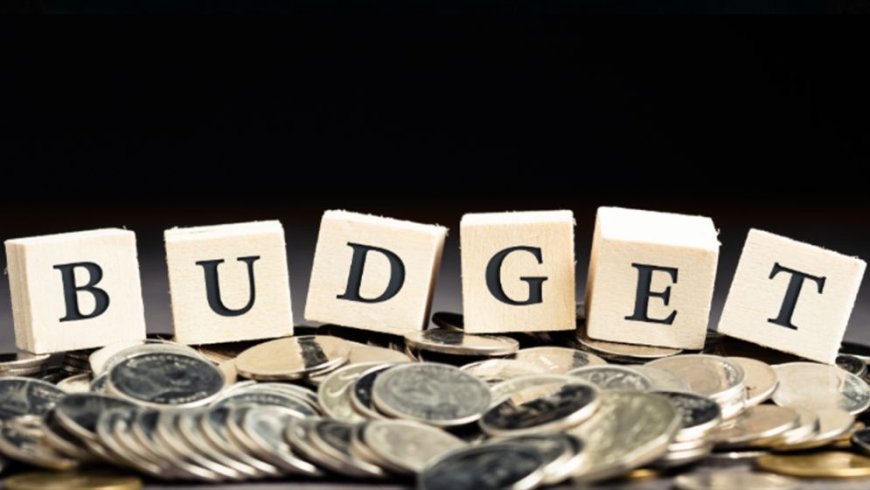 An expansionary budget with a record-high deficit