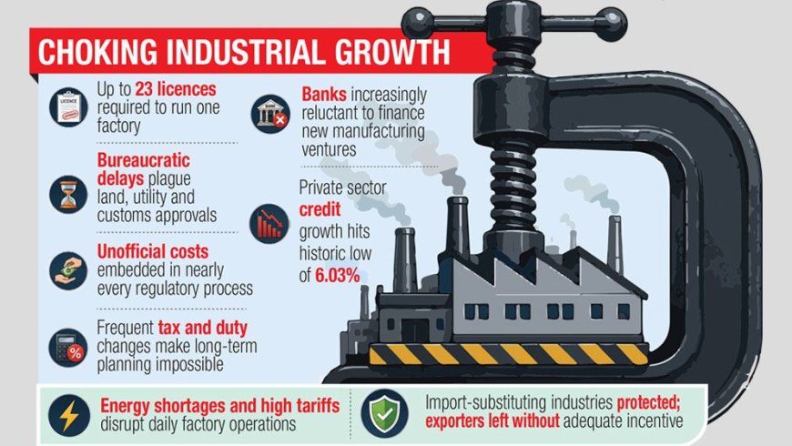 “Anti-business culture” emerges as a major obstacle to industrial expansion and investor confidence