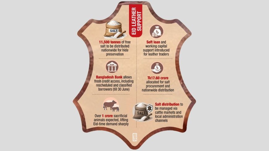 Government announces salt supply and loan support for leather sector