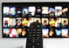 Children Increasingly Embrace Foreign Content Amid Decline in Quality Local TV Programming
