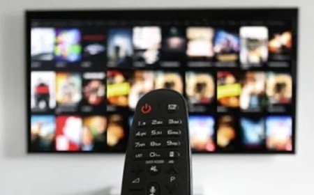 Children Increasingly Embrace Foreign Content Amid Decline in Quality Local TV Programming