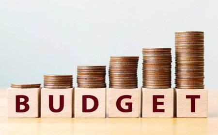 Understanding the National Budget: What It Is and Why It Matters